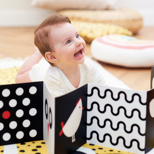 High Contrast Baby Pack 0 a 6 meses (Banana Panda)